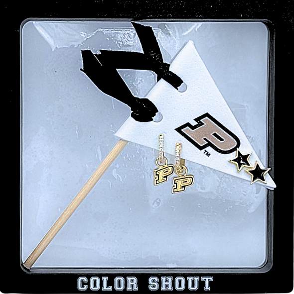 E203-PUR : Purdue University Pennant Pair Logo Earring Set