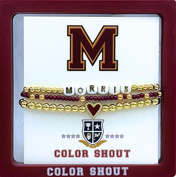 B202 - Morris High School