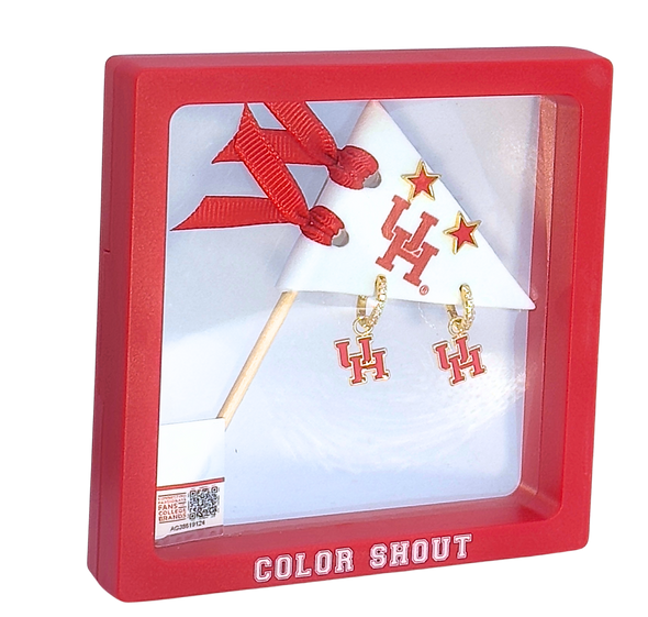 E203 - HOU :  University of Houston Pennant Pair Earring Set