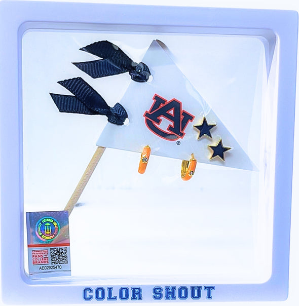 Auburn Pennant Pair Earring Set