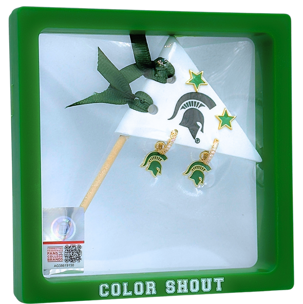 E203 - MSU : Michigan State University Pennant Pair Earring Set