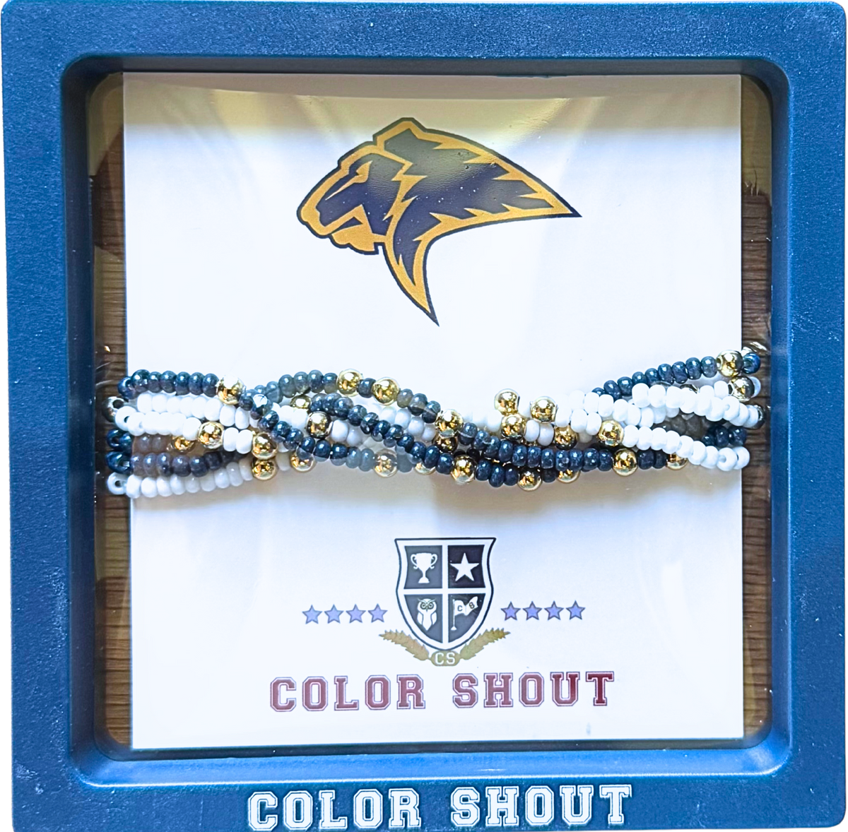 B201 - Prestonwood – Color Shout