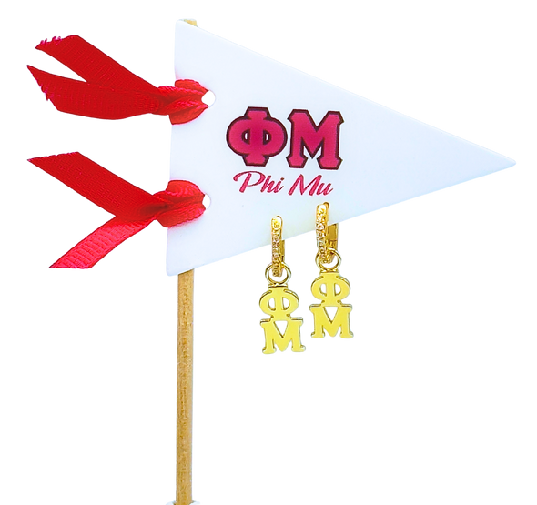E208 Sorority Greek Letter Earrings Huggie Hoops