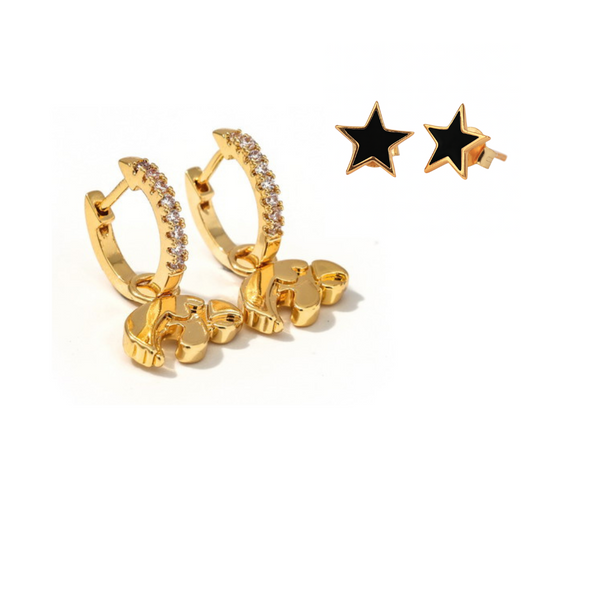 E203 - IOW : University of Iowa Pennant Pair Earring Set
