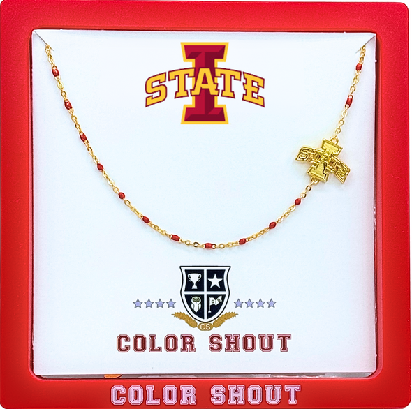 N201 - IST - The Iowa State Side Necklace